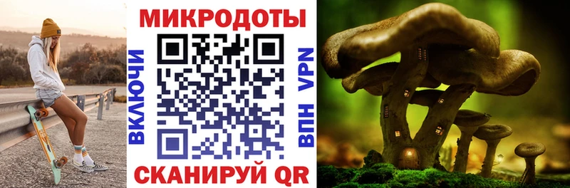 Галлюциногенные грибы Magic Shrooms  где продают   Кодинск 